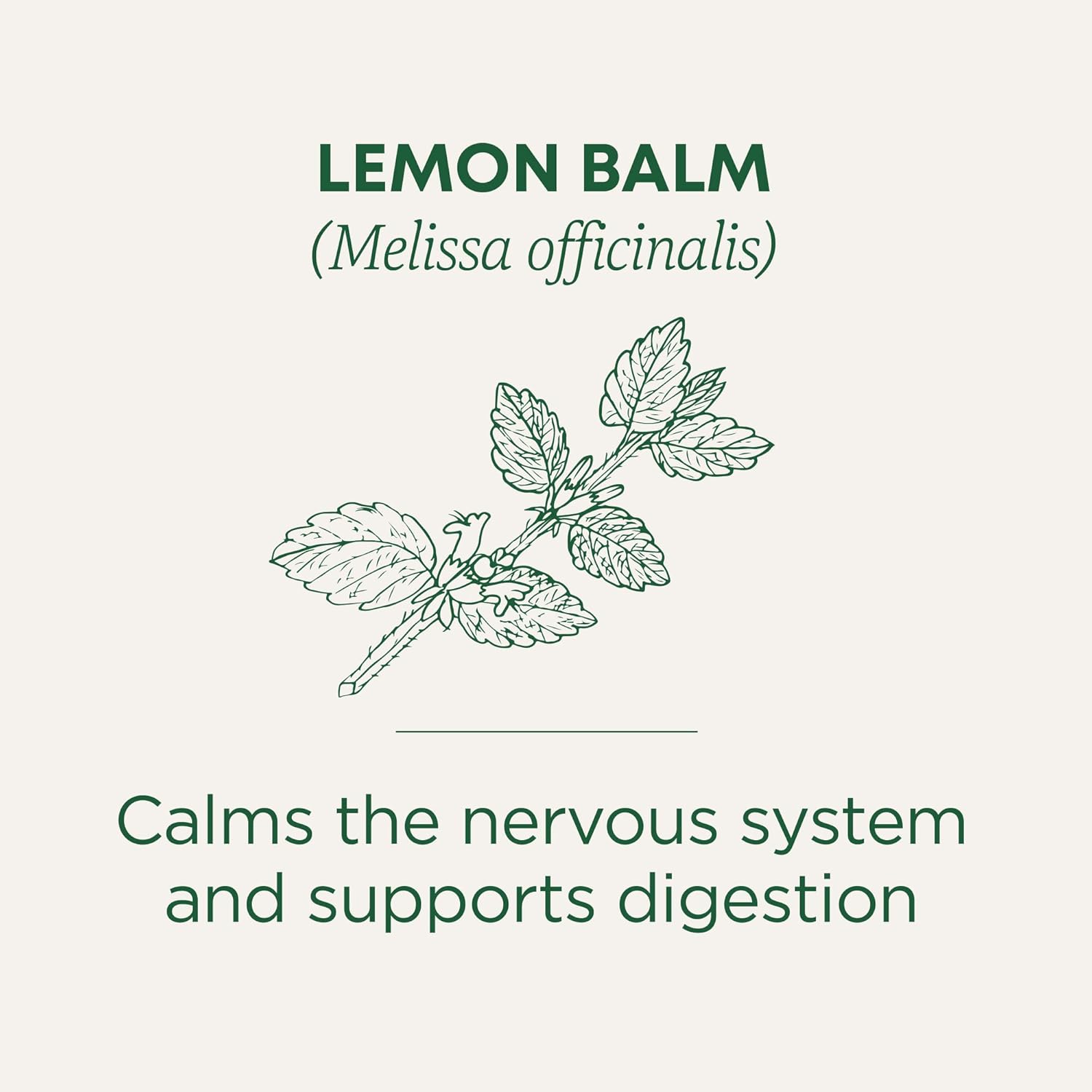 Traditional Medicinals Organic Lemon Balm - View 3
